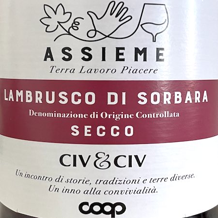 Il Vino del giorno: Lambrusco 2024 Il Vino del giorno: Lambrusco 2024